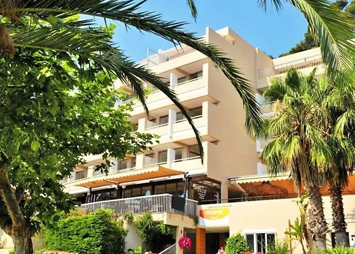 Pierre & Le Port Bandol