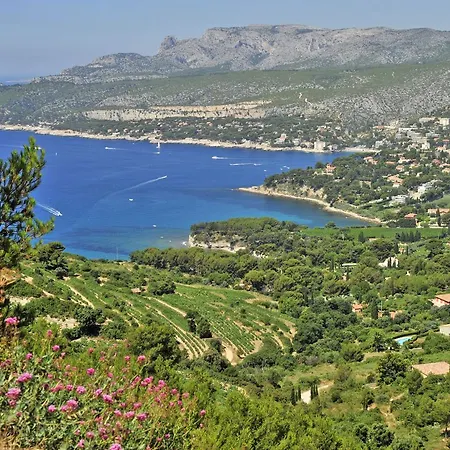 Pierre & Le Port